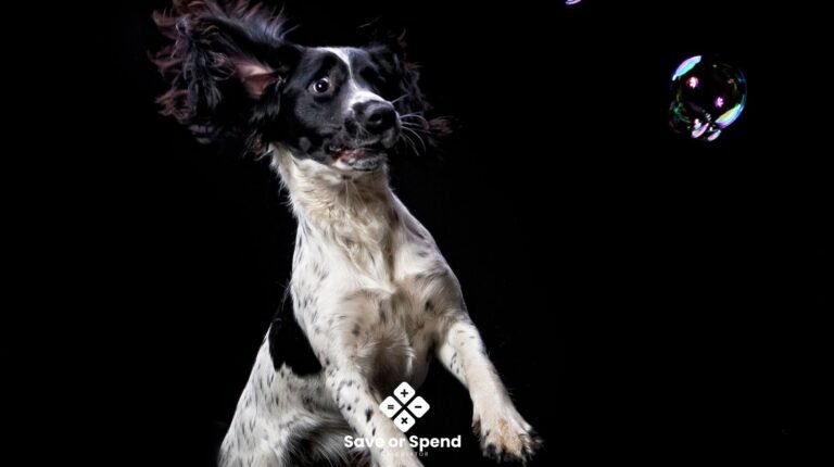 save or spend calculator: Money as a Tool_ How to Make Better Financial Decisions and Still Enjoy Your Life (10)